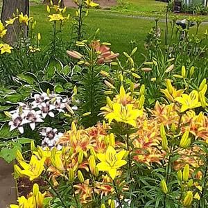 Meet your Posher, Debra